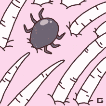 Tick GIF - Ticks Animal Bug GIFs