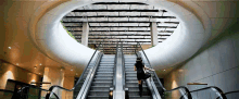 pandora jax priscilla quintana escalator