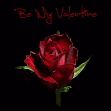 Be My Valentine Roses GIF - Be My Valentine Roses Rose GIFs
