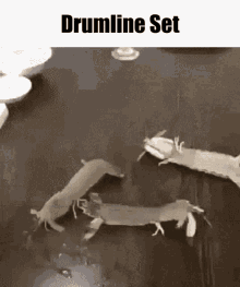 Drumline GIF - Drumline GIFs