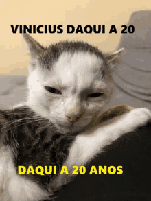 Vinicius Viniciuscalvo GIF - Vinicius Viniciuscalvo GIFs