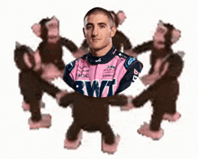 a man in a pink rwt jersey is surrounded by pink monkeys