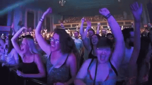 Concert Fans GIF - Concert Fans Crowd - Discover & Share GIFs
