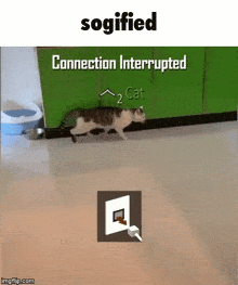 Sogified Sogified Wifi GIF