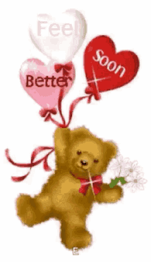 Bear Feel Better Soon GIF - Bear Feel Better Soon Love GIFs