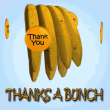 Thanks A Bunch Thank You GIF - Thanks A Bunch Thank You Bananas GIFs