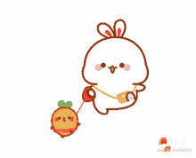 pet cute