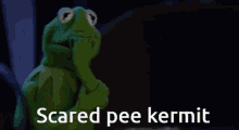 Kisebae Kisebaes GIF - Kisebae Kisebaes Kermit GIFs