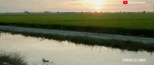 a sunset over a lush green field with a youtube watermark