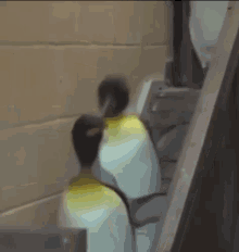Wtf Pinguin GIF - Wtf Pinguin Noir GIFs