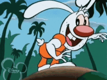 Mr Whiskers Butt Brandy And Mr Whiskers GIF
