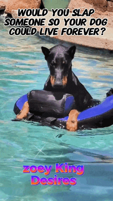 a dog is floating on a blue raft in a pool with the caption would you slap someone