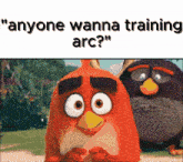 two angry birds are standing next to each other and the caption says " anyone wanna training arc "