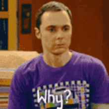 The Big Bang Theory Sheldon GIF - The Big Bang Theory Sheldon Why GIFs