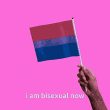 Pride Month Bisexual GIF - Pride Month Bisexual Flag GIFs