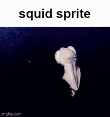 Squid Sprite Squid GIF - Squid Sprite Squid Sprite GIFs