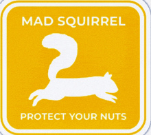Mas Squirrel GIF - Mas Squirrel GIFs