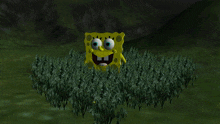 a cartoon of spongebob standing in a field with a scared look on his face