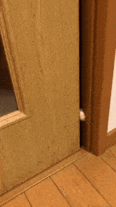Cat Hello Cat Peek GIF - Cat Hello Cat Peek Cat Door GIFs