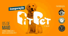 Fit Pet GIF - Fit Pet GIFs