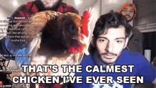 Thats The Calmest Chicken Ive Ever Seen Pet GIF - Thats The Calmest Chicken Ive Ever Seen Pet Chicken GIFs