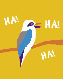 Kookaburra Laugh GIF