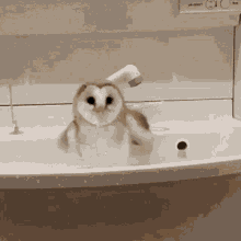 dont even think about it sorry there is only room for me bath time owl cute