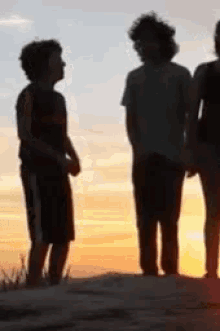 a group of people are standing on a hill at sunset