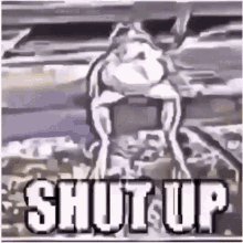 Phrog Frog GIF - Phrog Frog Shut Up GIFs