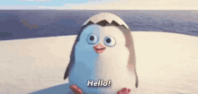 a penguin is sitting on top of a snow covered beach .