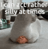 I Can Act Rather Silly Cat GIF - I Can Act Rather Silly Silly Cat GIFs