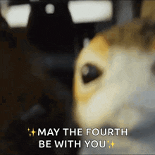 a blurred image of a dog with the words " may the fourth be with you "