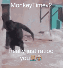 Monkeytimev2 GIF - Monkeytimev2 GIFs