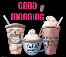 Good Morning Cat Cat Love GIF - Good Morning Cat Cat Love GIFs