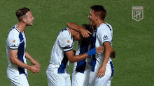 a group of soccer players are hugging each other on a soccer field .