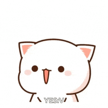 Yay Peachcat GIF - Yay Peachcat White Cat GIFs