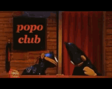 Popo Club Popo GIF - Popo Club Popo Club GIFs