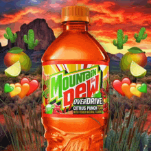a bottle of mountain dew overdrive citrus punch surrounded by cactus and fruit