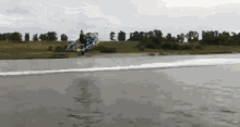 Surfing Fly GIF