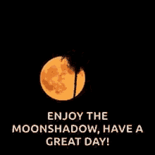Moon Enjoy The Moonshadow GIF - Moon Enjoy The Moonshadow Have A Great Day GIFs