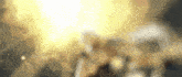 a blurred image of a person standing in front of a fire