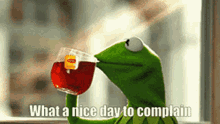Kermit Complain Kermit Frog Tea Complain GIF - Kermit Complain Kermit Frog Tea Complain Kermit GIFs