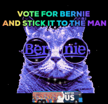 Bernie Sanders Vote GIF - Bernie Sanders Vote Primary GIFs