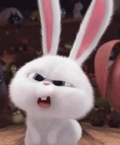 Funny Bunny Confused Bunny GIF - Funny Bunny Confused Bunny Great Job Bunny  - Discover & Share GIFs