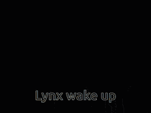 jack walten emporium jack walten lynx wake up lober