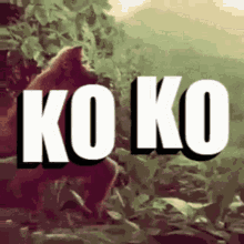 Koko Maymun Dans GIF - Koko Maymun Dans Ko Ko Diyen Maymun GIFs