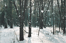 Winter Snow GIF - Winter Snow Wood GIFs