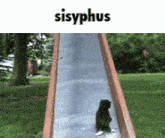 Sisyphus Cat GIF - Sisyphus Cat Slide GIFs