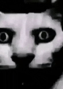 a black and white photo of a panda bear 's face with big eyes .