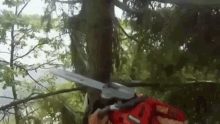 Tree Flies GIF